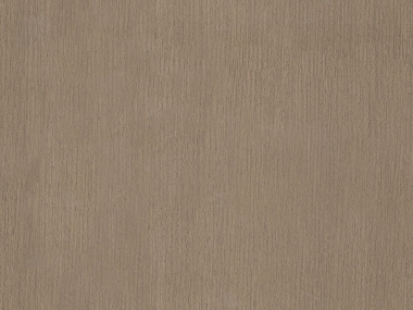 R61305-F06-T08