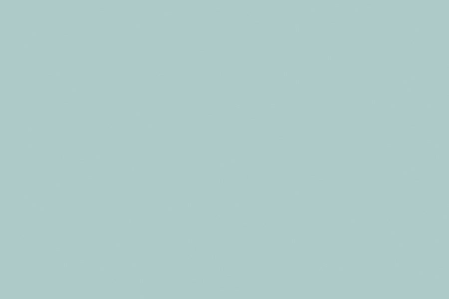 Single-Colored Non-Embossed PVC Decorative Film
